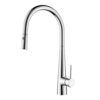 Arraso Pull Out Sink Mixer Chrome Arraso Pull Out Sink Mixer Chrome